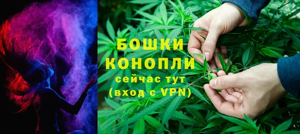 СК Аркадак