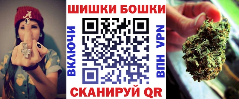 Купить закладки  Онега  Бошки марихуана планчик 